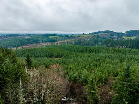 331 Burnett Rd, Winlock, WA 98596 photo 39