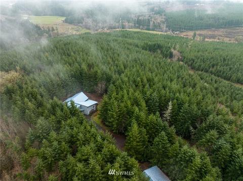 331 Burnett Rd, Winlock, WA 98596 photo 36