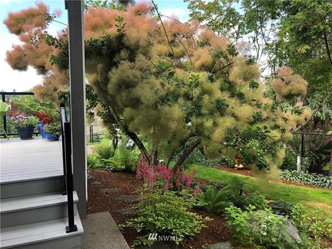 8002 68th Loop SE, Olympia, WA 98513 photo 12