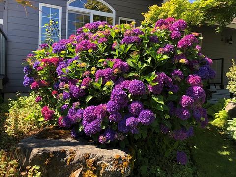 8002 68th Loop SE, Olympia, WA 98513 photo 14