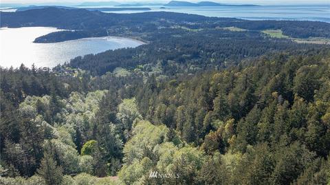 834 Buck Mountain Rd, Eastsound, WA 98245 photo 27