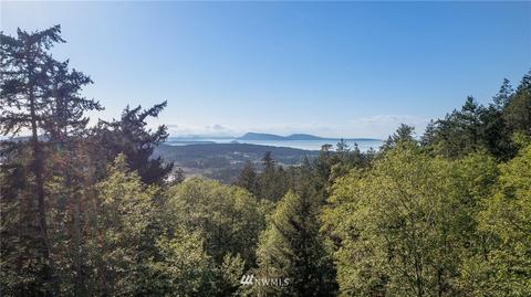 834 Buck Mountain Rd, Eastsound, WA 98245 photo 3