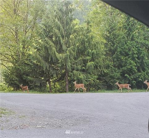 22607 146th St E, Orting, WA 98360 photo 7