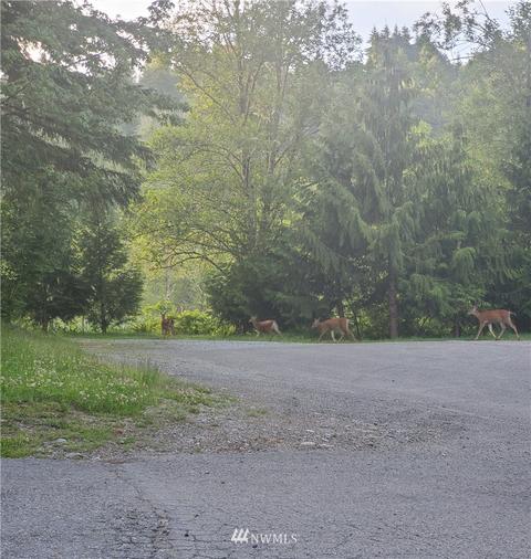 22607 146th St E, Orting, WA 98360 photo 8