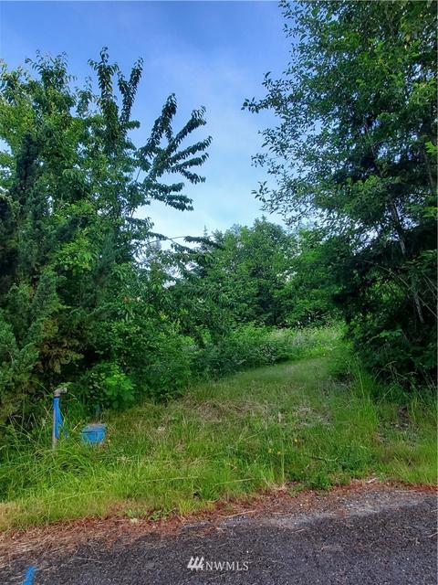 22607 146th St E, Orting, WA 98360 photo 5