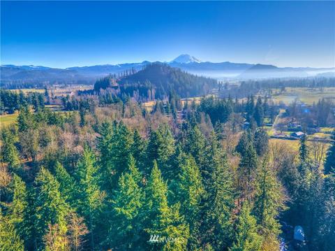 26861 SE 411th St, Enumclaw, WA 98022 photo 33