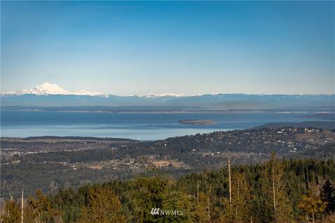 774 Lost Mountain Ln, Sequim, WA 98382 photo 36