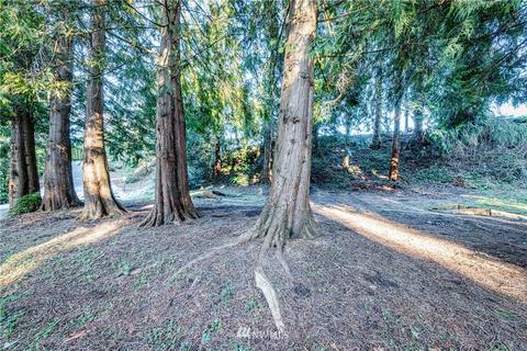 4319 Crescent Ave, Everett, WA 98203 photo 29