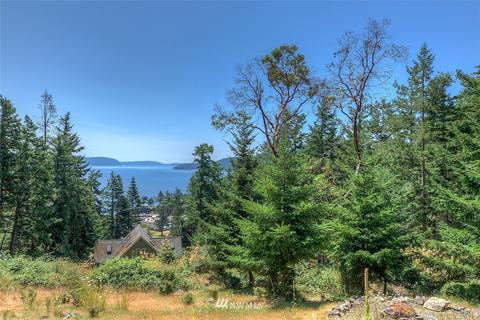 118 Cascade Way, Eastsound, WA 98245 photo 1