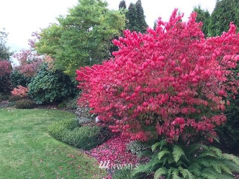 9025 Baring Way, Everett, WA 98208 photo 26