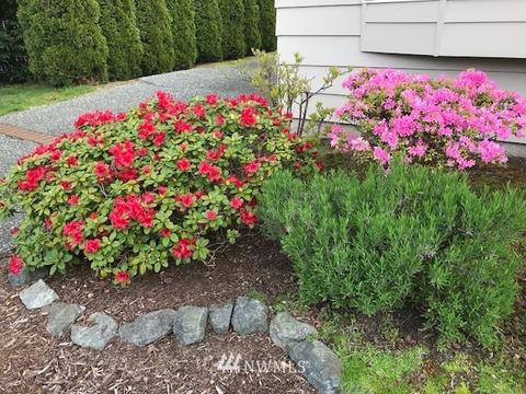 9025 Baring Way, Everett, WA 98208 photo 24