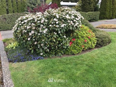 9025 Baring Way, Everett, WA 98208 photo 23