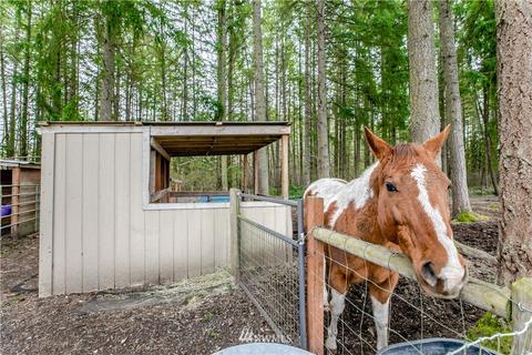 33103 27th Ave E, Roy, WA 98580 photo 31