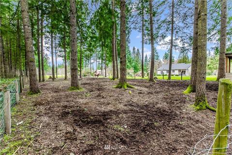 33103 27th Ave E, Roy, WA 98580 photo 34