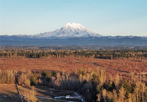 32611 8th Ave E, Roy, WA 98580 photo 27