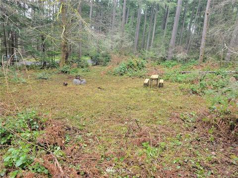 12621 Camus Rd, Anderson Island, WA 98303