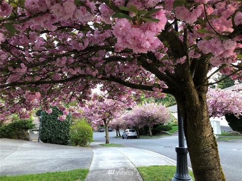 18134 129th Pl NE, Bothell, WA 98011 photo 34