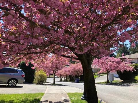 18134 129th Pl NE, Bothell, WA 98011 photo 32