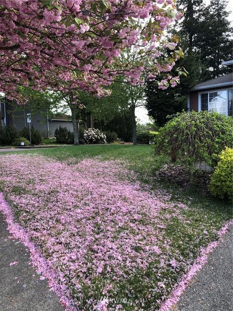 18134 129th Pl NE, Bothell, WA 98011 photo 36