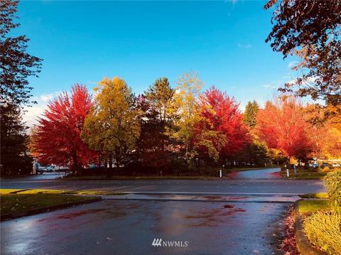 18134 129th Pl NE, Bothell, WA 98011 photo 35