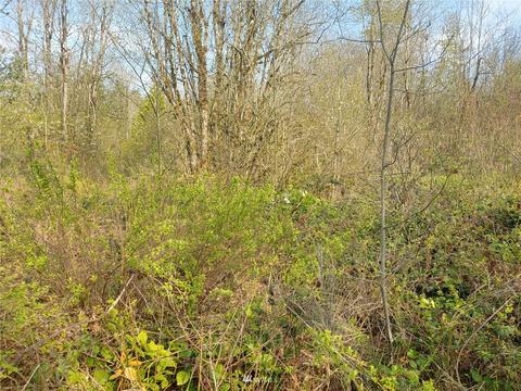 369 Hart Rd, Winlock, WA 98596 photo 13