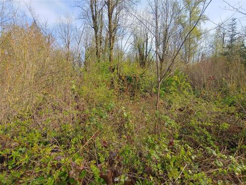369 Hart Rd, Winlock, WA 98596 photo 14