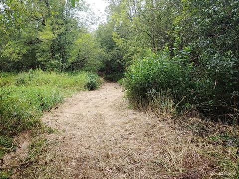 369 Hart Rd, Winlock, WA 98596 photo 4