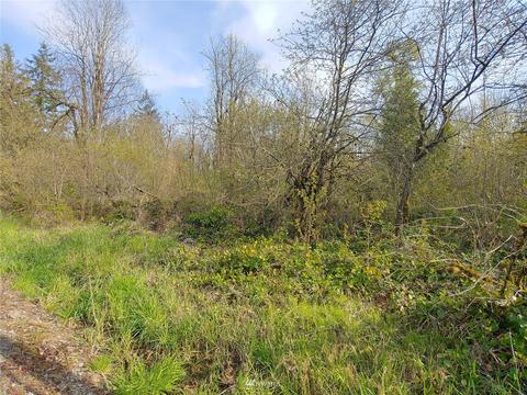 369 Hart Rd, Winlock, WA 98596 photo 10