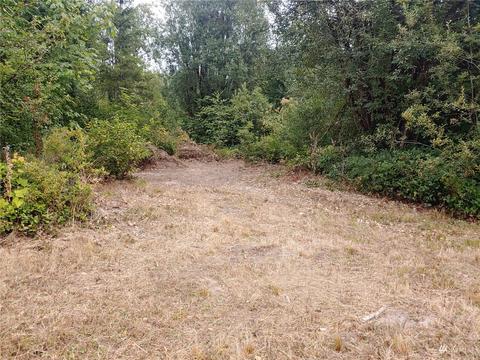 369 Hart Rd, Winlock, WA 98596 photo 3