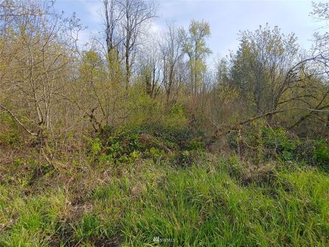369 Hart Rd, Winlock, WA 98596 photo 15