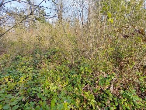 369 Hart Rd, Winlock, WA 98596 photo 12