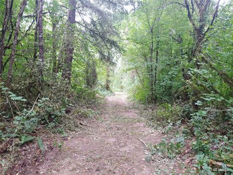 369 Hart Rd, Winlock, WA 98596 photo 6