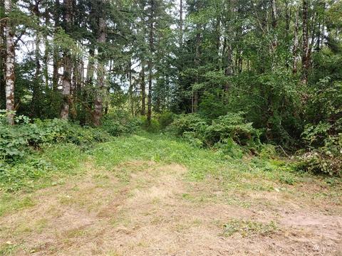 369 Hart Rd, Winlock, WA 98596 photo 8