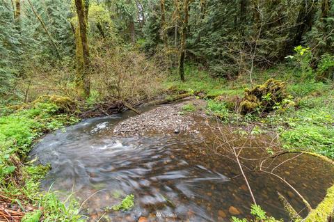 759 Rhoades Rd #B, Winlock, WA 98596 photo 28
