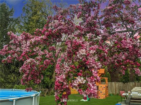13899 Dogwood Ct, Sultan, WA 98294 photo 35