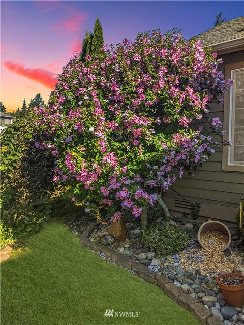 13899 Dogwood Ct, Sultan, WA 98294 photo 39
