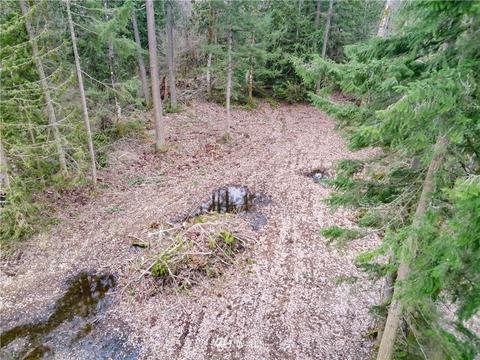 21615 66th Ave E, Spanaway, WA 98387 photo 9