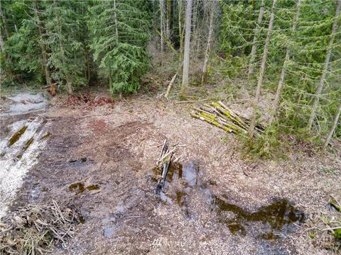 21615 66th Ave E, Spanaway, WA 98387 photo 8