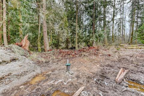 21615 66th Ave E, Spanaway, WA 98387 photo 6