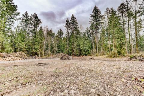 21615 66th Ave E, Spanaway, WA 98387 photo 1