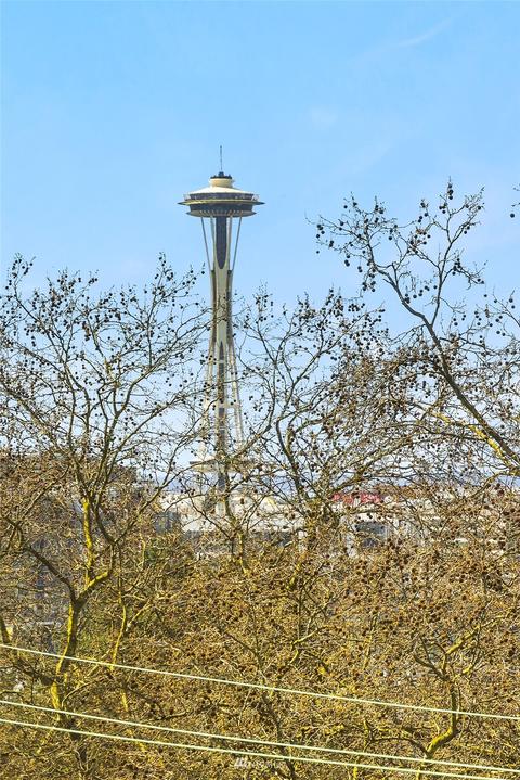 1114 Lakeview Blvd E #E, Seattle, WA 98102 photo 15