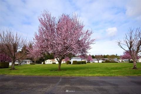 150 Trowbridge, Sequim, WA 98382 photo 5