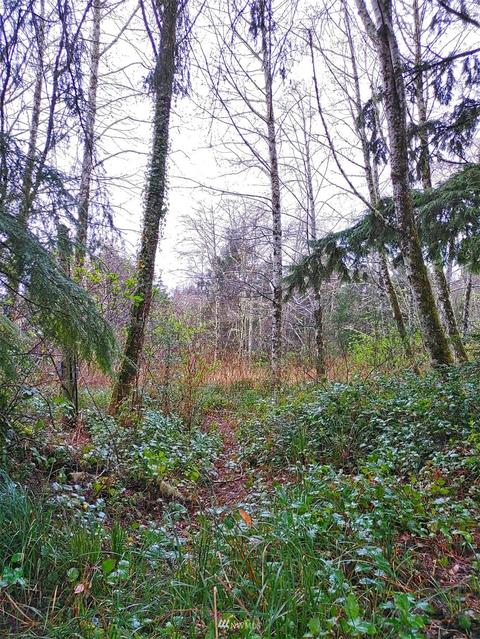 2445 State Route 105, Grayland, WA 98547