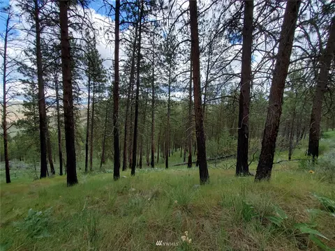 0 570x Tunk Creek Rd, Riverside, WA 98849