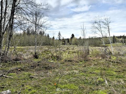 992 E Mason Benson Rd, Grapeview, WA 98546 photo 33