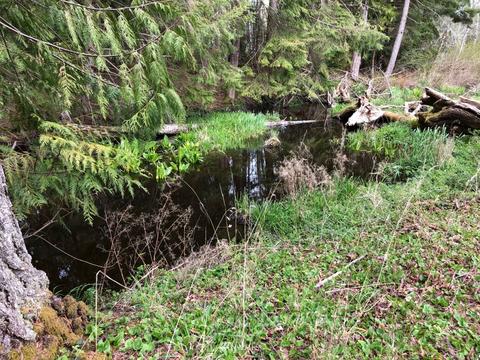 992 E Mason Benson Rd, Grapeview, WA 98546 photo 32