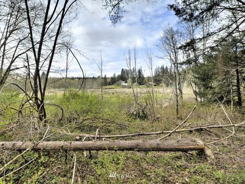 992 E Mason Benson Rd, Grapeview, WA 98546 photo 37