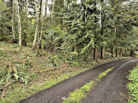 992 E Mason Benson Rd, Grapeview, WA 98546 photo 38
