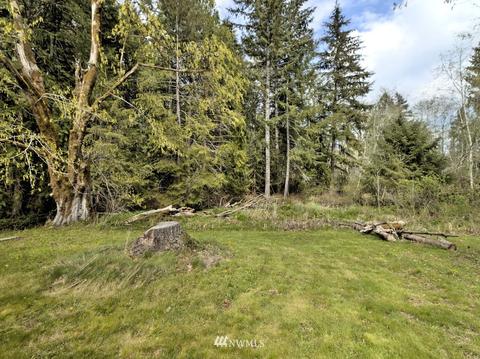 992 E Mason Benson Rd, Grapeview, WA 98546 photo 36