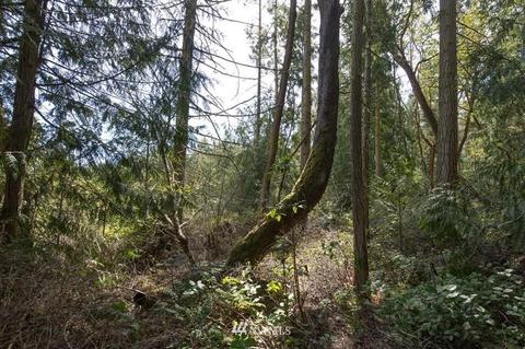 471 Heron Hill Rd, Sequim, WA 98382 photo 33